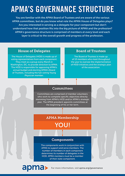 Governance Structure